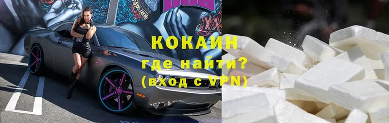 где купить наркоту  Гусев  COCAIN Fish Scale 