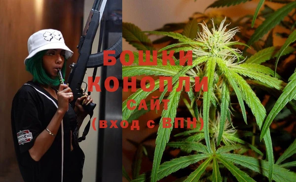 каннабис Богданович