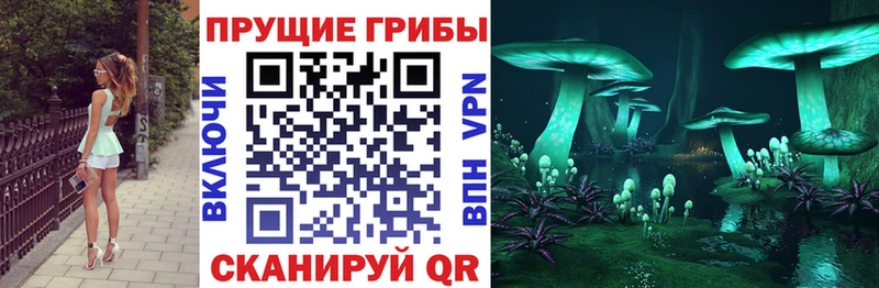 Псилоцибиновые грибы Magic Shrooms  omg как зайти  Гусев  закладки 