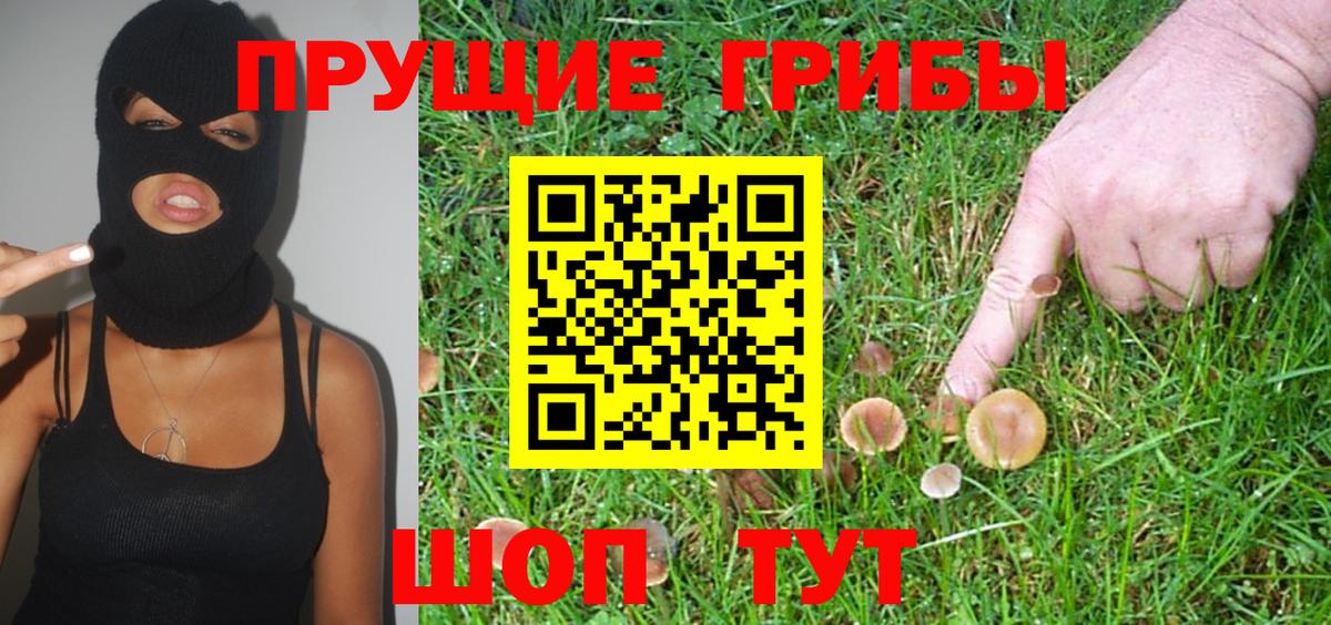 Псилоцибиновые грибы Psilocybine cubensis  Вход с VPN  Гусев 