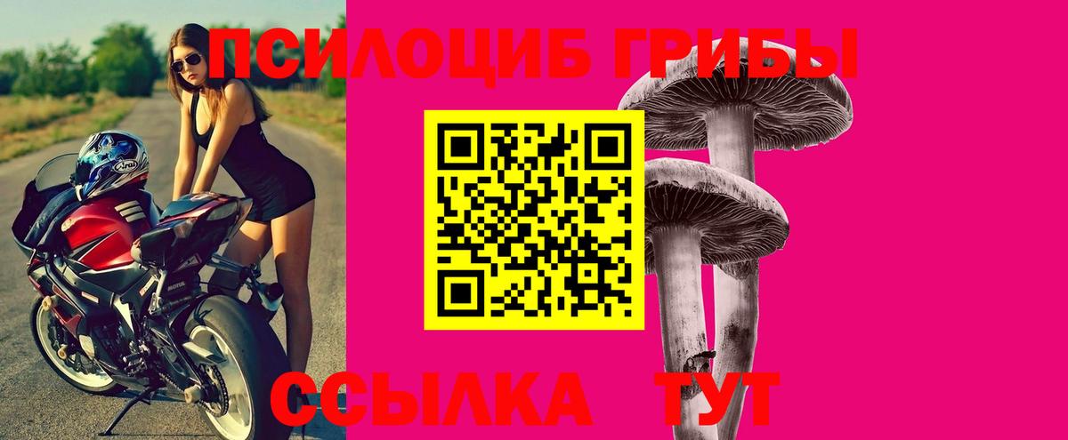 Псилоцибиновые грибы ЛСД Гусев