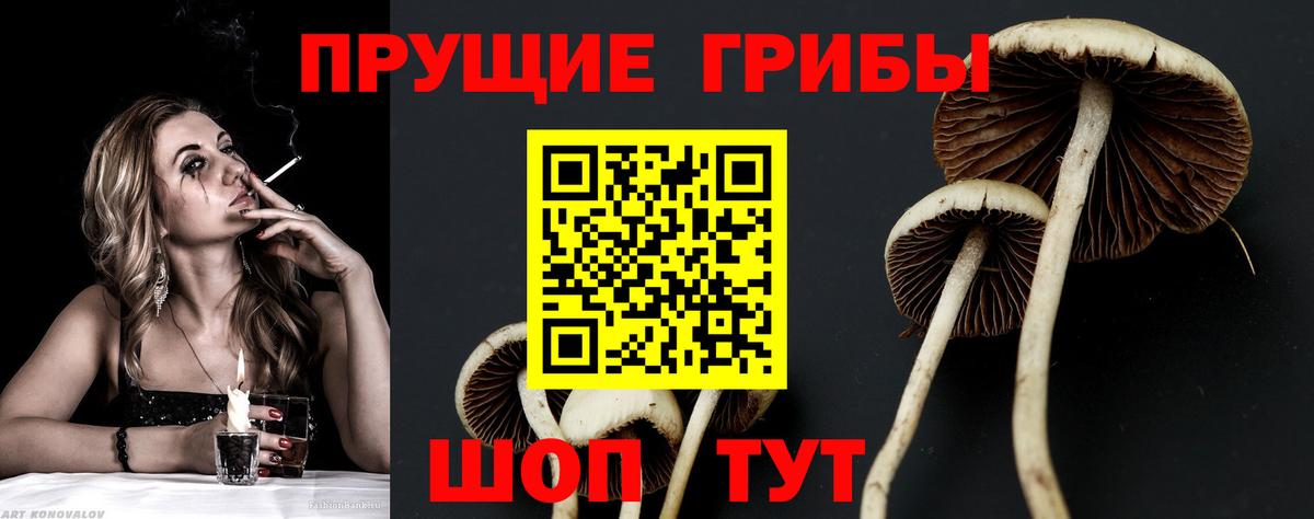 Галлюциногенные грибы GOLDEN TEACHER Гусев
